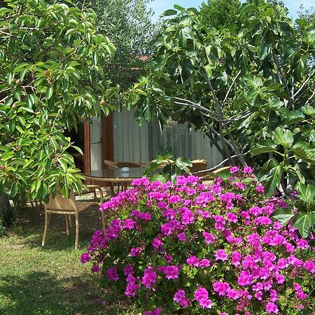 Hotel Club Ragno D'Oro Olbia Tempio المظهر الخارجي الصورة
