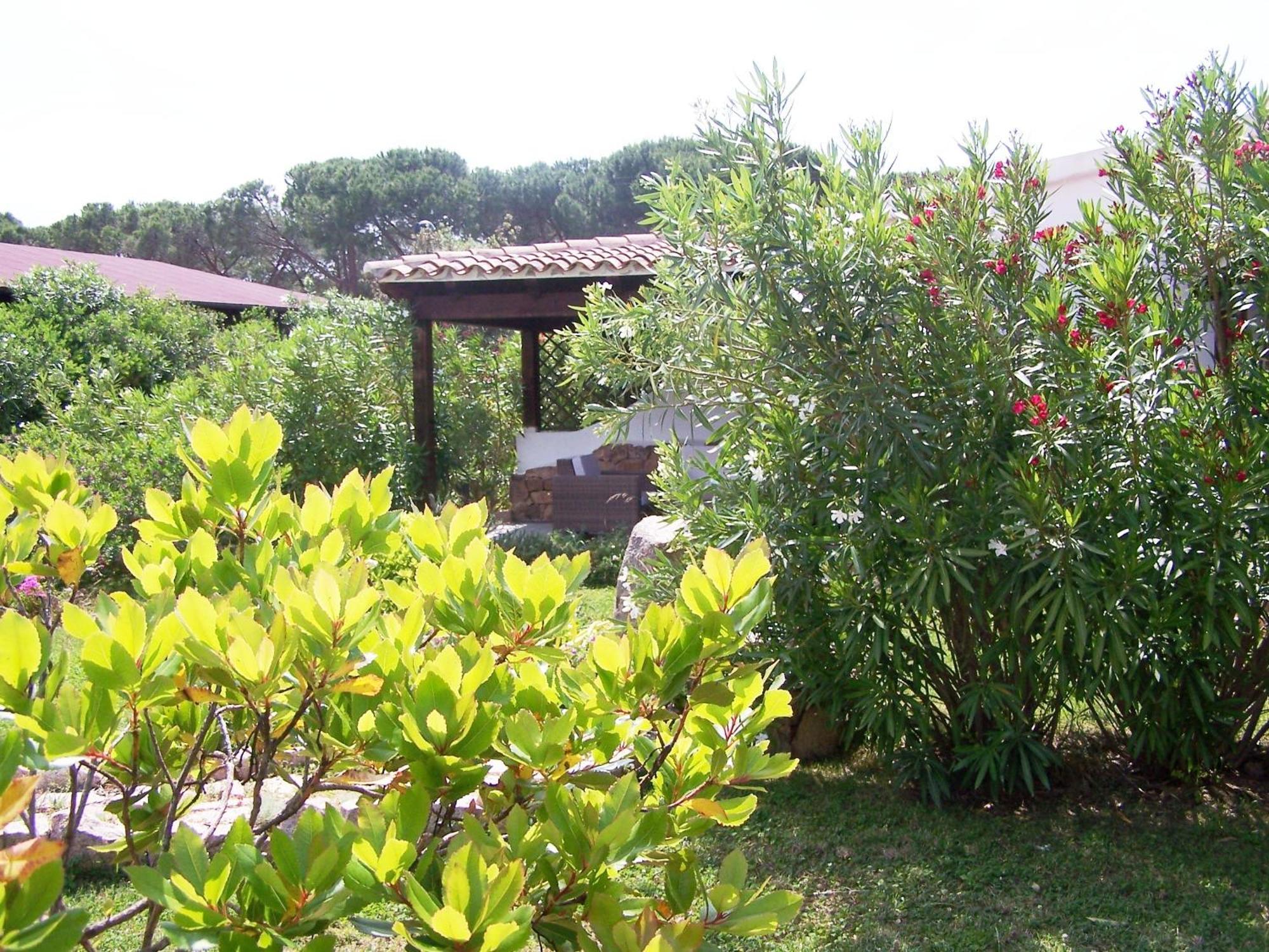 Hotel Club Ragno D'Oro Olbia Tempio المظهر الخارجي الصورة
