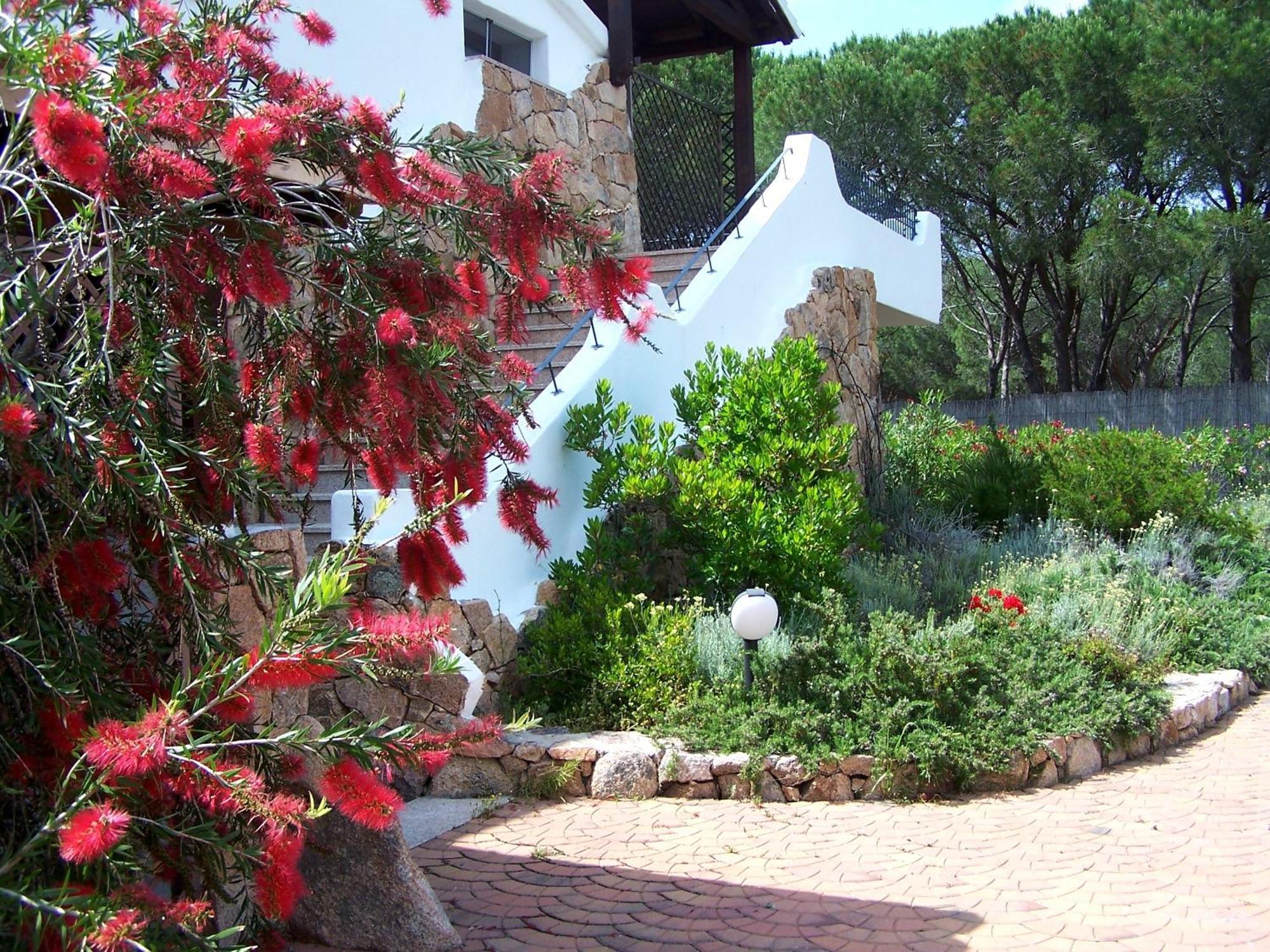 Hotel Club Ragno D'Oro Olbia Tempio المظهر الخارجي الصورة