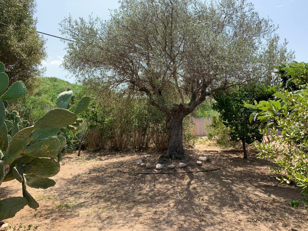Hotel Club Ragno D'Oro Olbia Tempio المظهر الخارجي الصورة