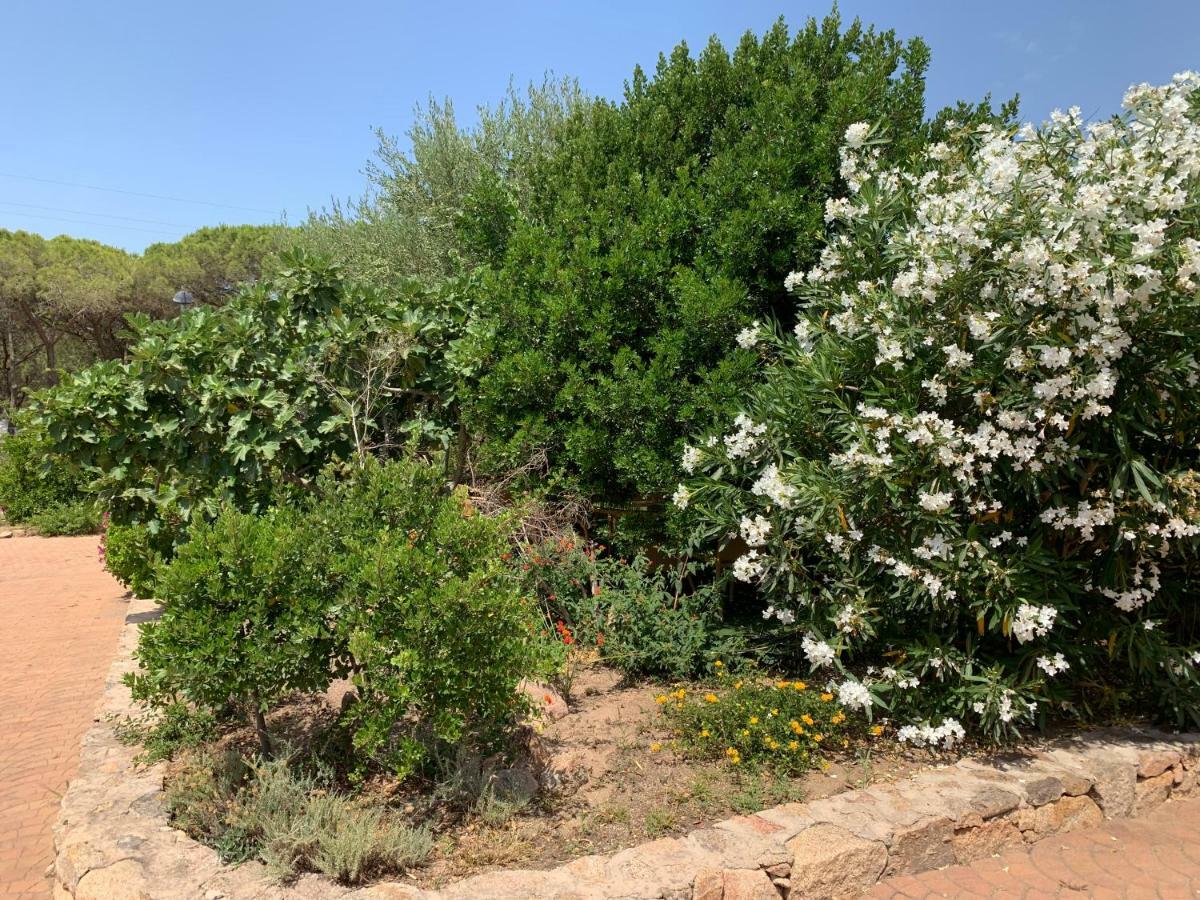 Hotel Club Ragno D'Oro Olbia Tempio المظهر الخارجي الصورة